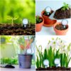 Indoor Plant Watering Globes, 12 Pcs Automatic Self Watering Bulbs Aqua Water Globe Irrigation Device, Decorative PVC Watering Bulbs for Plants, White & Green - Image 2