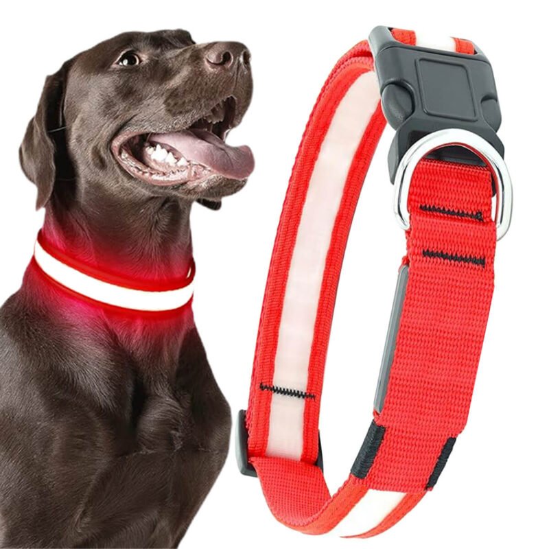 Syenll LED Dog Collar, USB Rechargeable Light up Dog Collar, Adjustable Safety Glowing Collar for Dogs (Red, XL Size)