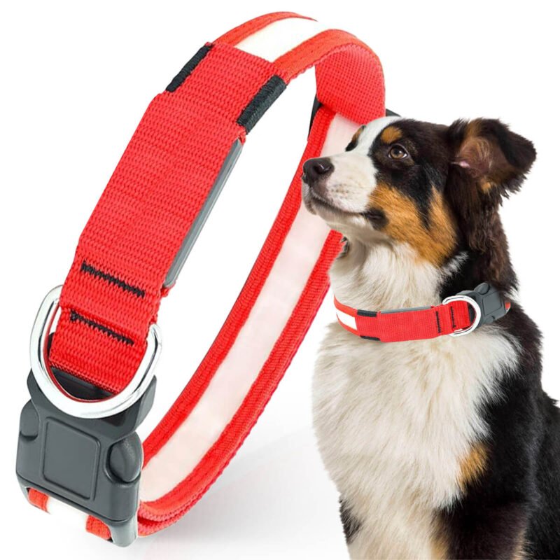Syenll LED Dog Collar, USB Rechargeable Light up Dog Collar, Adjustable Safety Glowing Collar for Dogs (Red, L Size)