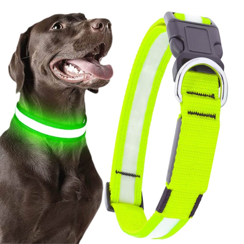 Syenll LED Dog Collar, USB Rechargeable Light up Dog Collar, Adjustable Safety Glowing Collar for Dogs (Green, XL Size)